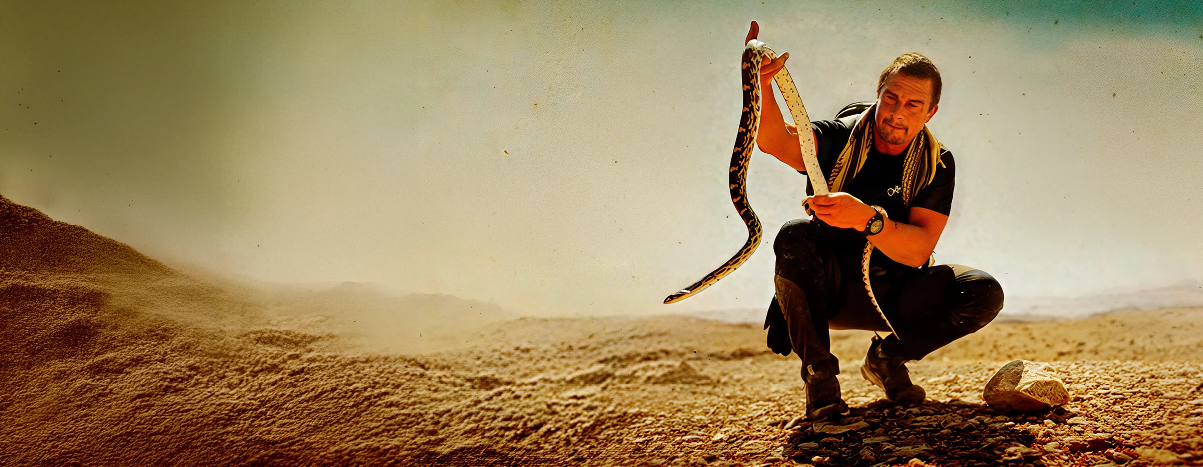 Bear Grylls: Never Give Up-cover-image