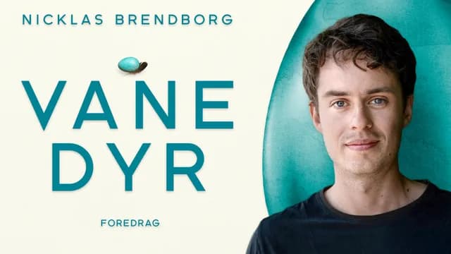 VANEDYR