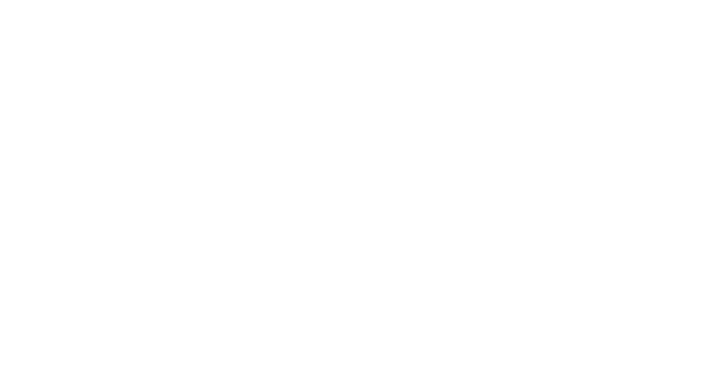De elleve