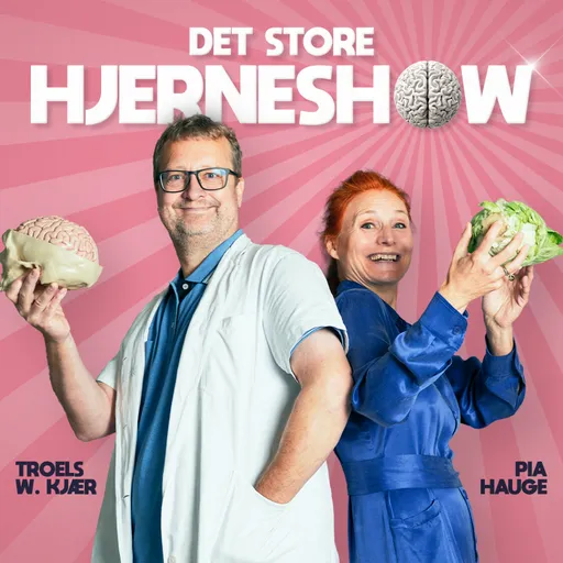 DET STORE HJERNESHOW