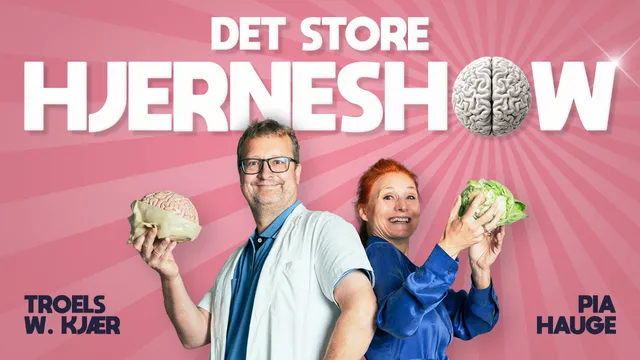 DET STORE HJERNESHOW
