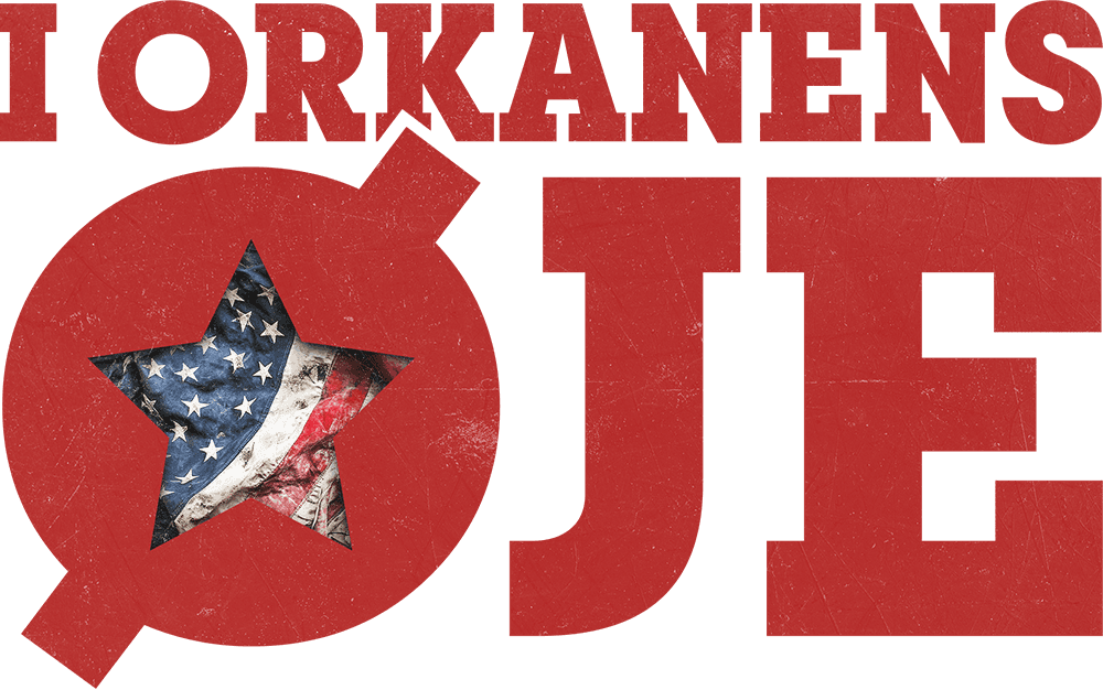 I ORKANENS ØJE