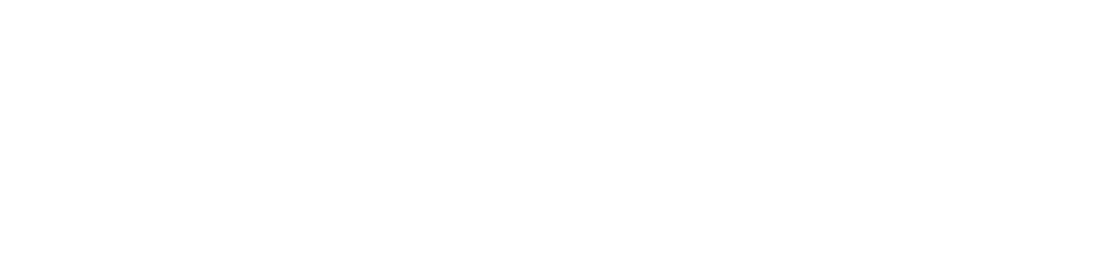 EN GONZO GÅR TIL KANTEN